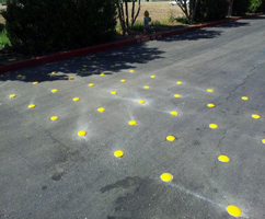 Traffic Buttons