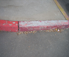 curb repair